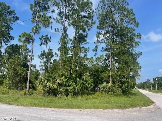 1010 Manikin Ave S, Lehigh Acres, Florida 33974