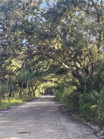 Oak laden drive