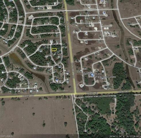 Adjacent Property with a New Home