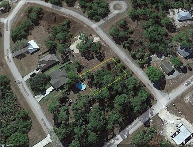 Great developing neighborhood