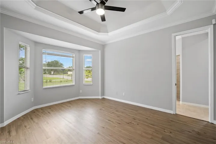 Spare room with a tray ceiling, ceiling fan, hardwood / wood-style floors, and a healthy amount of sunlight