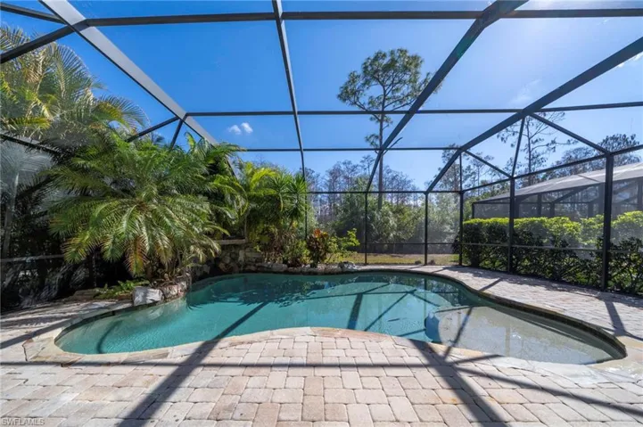 Tropical salt water pool backing up to the preserve