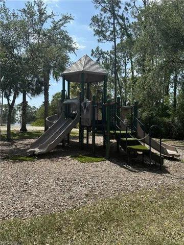 View of jungle gym