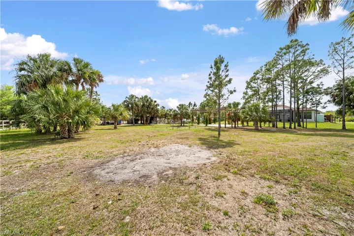 View of grassy yard