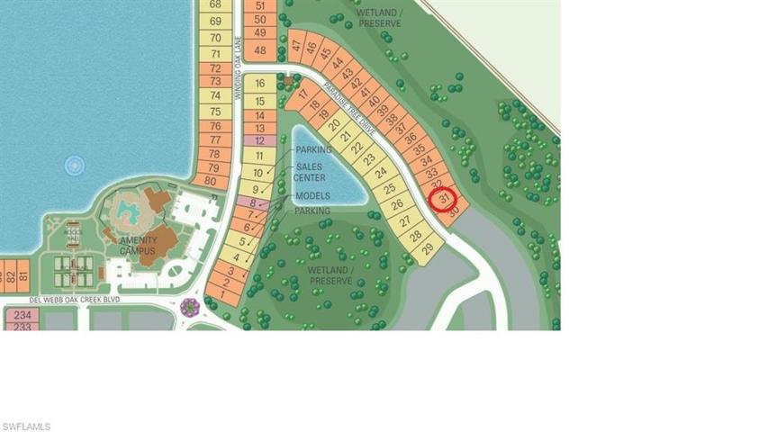 Lot 31 on a preserve view