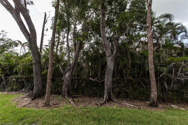 trees opposite townhouse