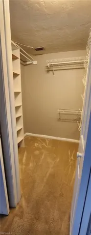 Spacious closet featuring carpet