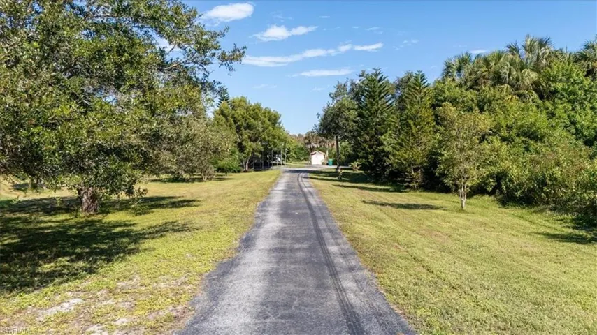 View of asphalt driveway with view of scattered trees