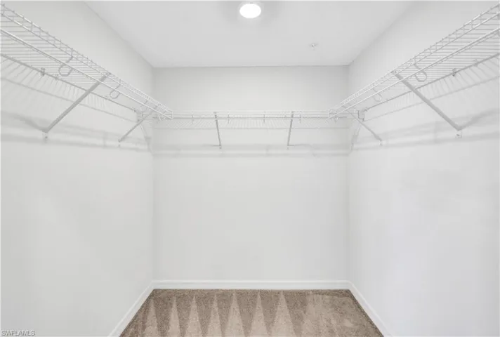 Spacious closet featuring carpet