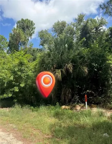 913 Abbey St E, Lehigh Acres, Florida 33974