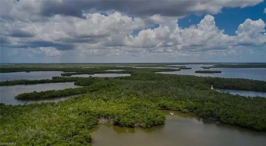 Everglades
