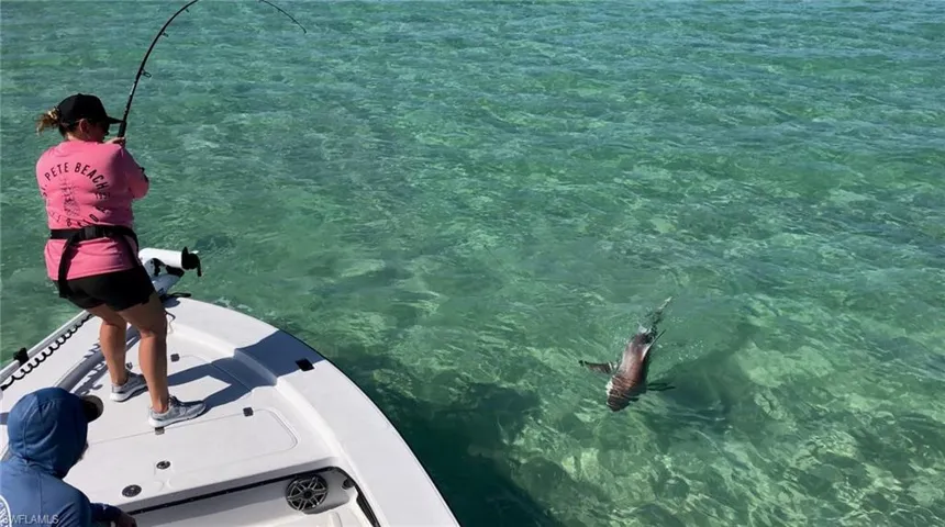 Fantastic fishing