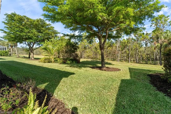 View of landscaped back yard with private preserve view