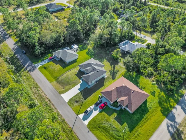 Bird's eye view of a tree filled landscape