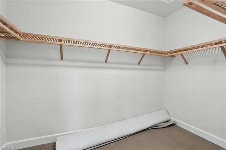 Spacious closet with carpet floors