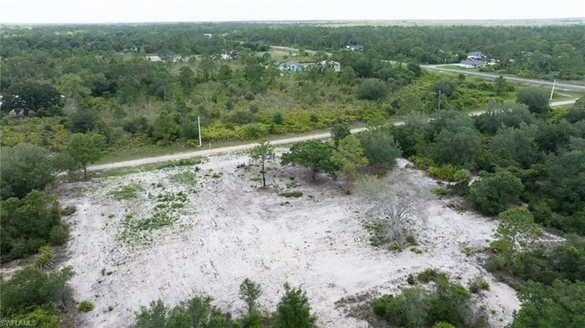 Aerial view of a forest