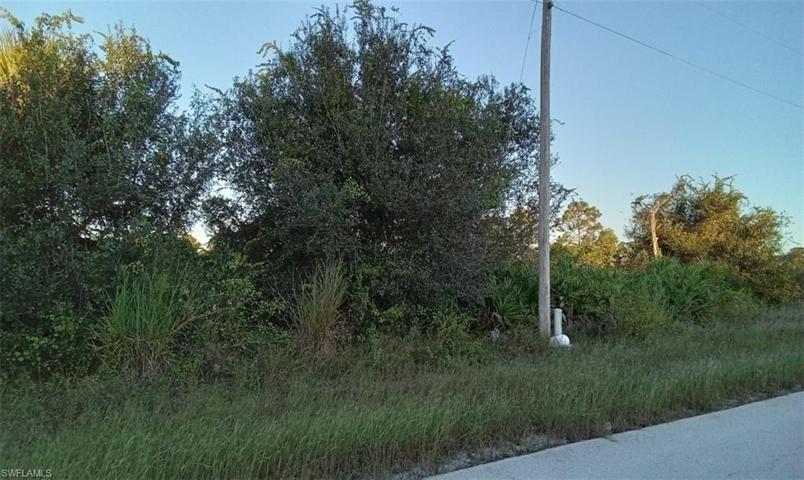 753 Chelsea AVE S, LEHIGH ACRES FL 33974