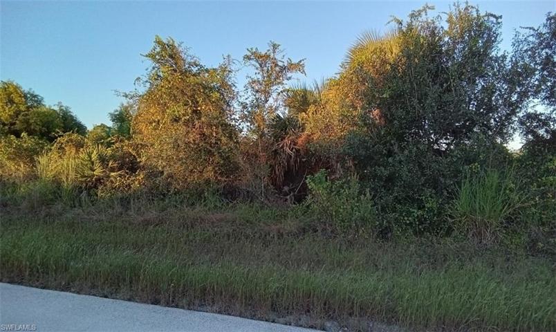 753 Chelsea AVE S, LEHIGH ACRES FL 33974
