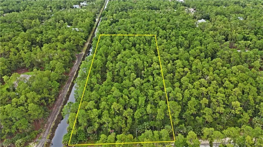 Wooded lot with mature trees