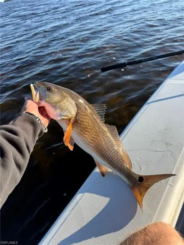 EXCELLENT REDFISH, SNOOK AND SEA TROUT FISHING AREA