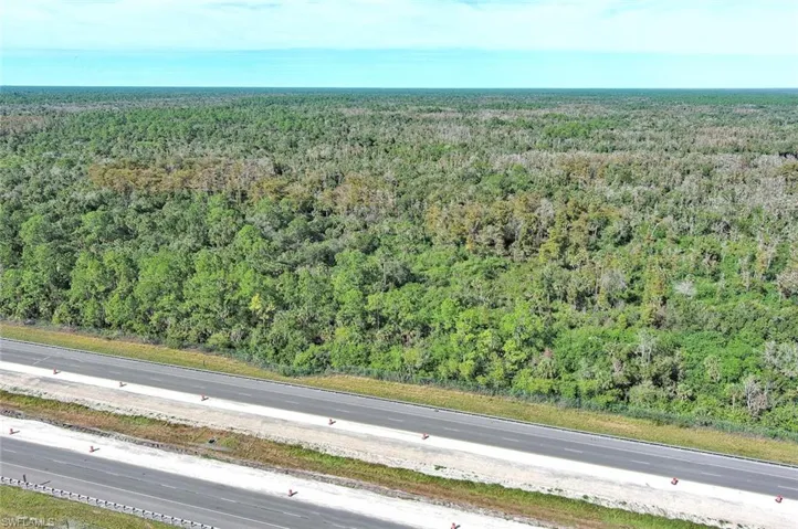 Bird's eye view of a forest