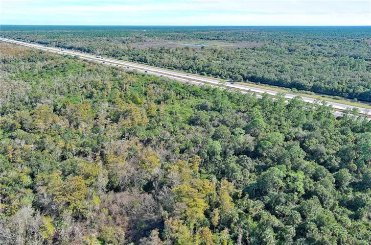 Aerial view of property's location featuring a forest