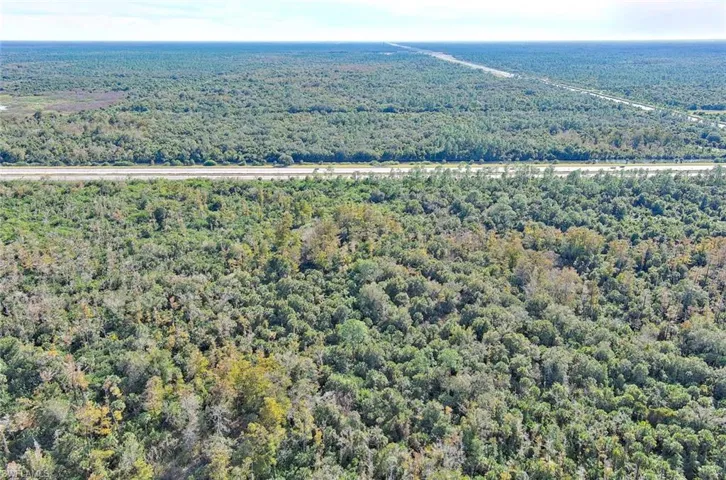 Bird's eye view of a heavily wooded area