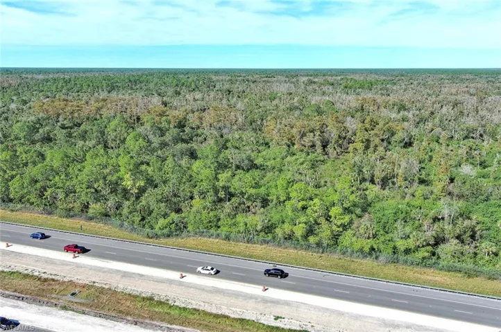 Drone / aerial view of a forest