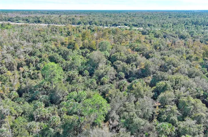 Aerial view of property's location with a heavily wooded area