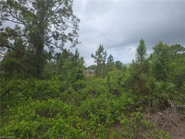 1036 Card St E, Lehigh Acres, Florida 33974