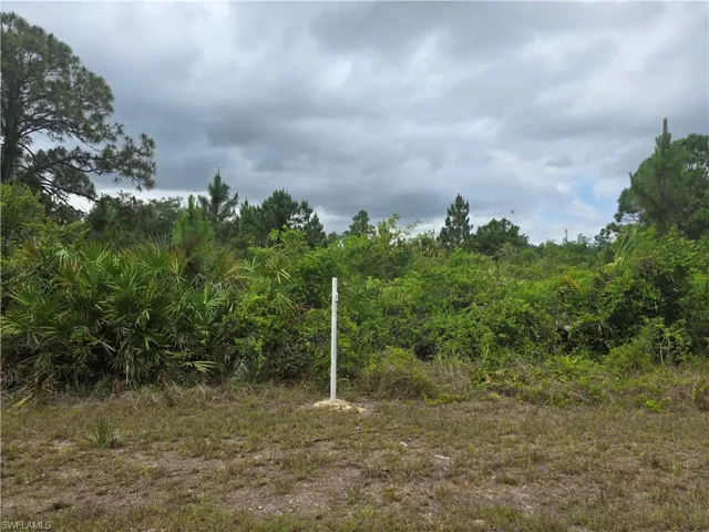 1036 Card St E, Lehigh Acres, Florida 33974
