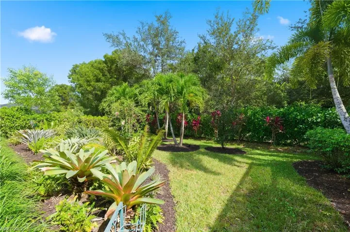 View of grassy yard