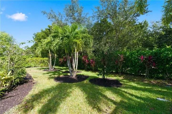 View of green lawn