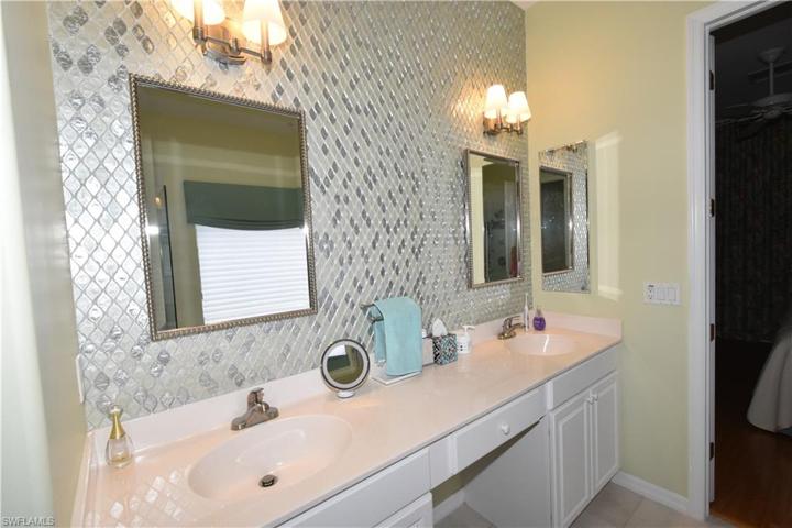 Master dual sinks