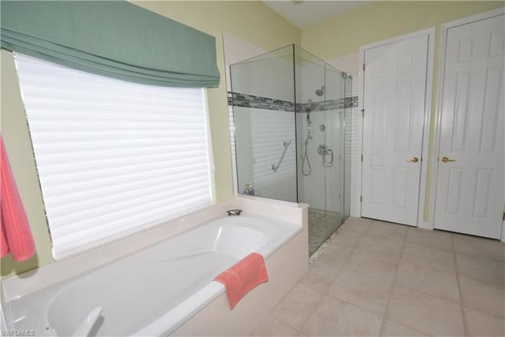 Soaking tub and walk in shower