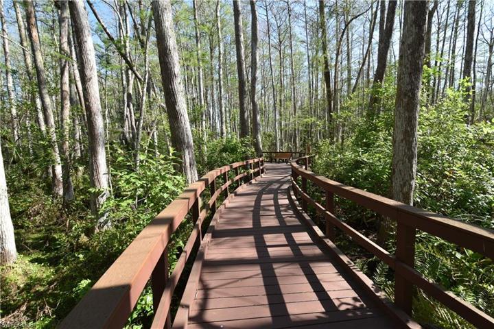 Preserve walking path