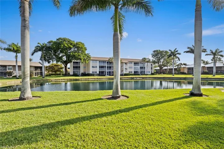 Lake view