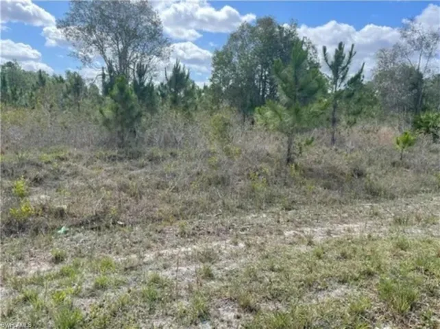763 Bedford Dr, Lehigh Acres, Florida 33974