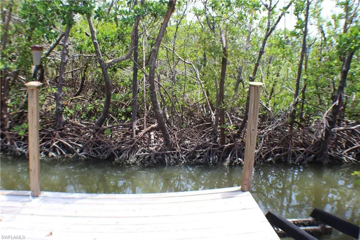 mangrove preserve