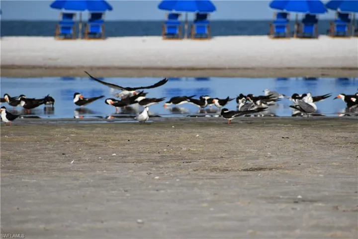 Ft. Myers Beach