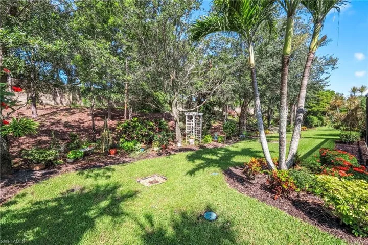 View of grassy yard