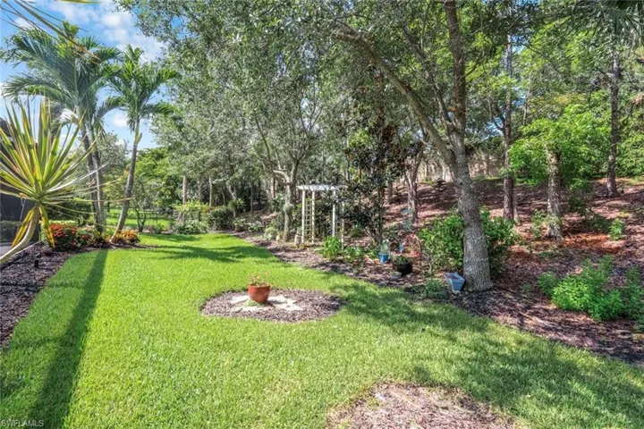 View of grassy yard