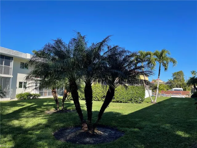 view from the lanai