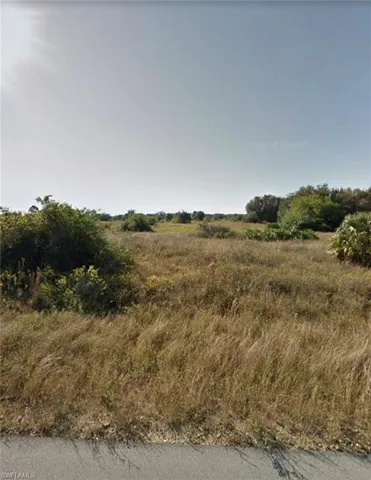 View of local wilderness featuring a rural view