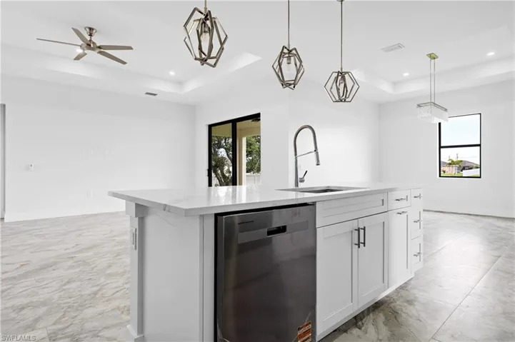 Kitchen featuring a tray ceiling, stainless steel dishwasher, plenty of natural light, and recessed lighting