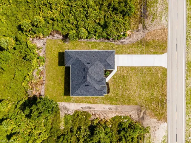 View of bird's eye view