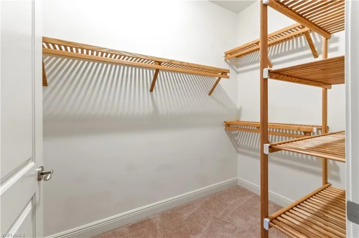 Walk in closet with light colored carpet