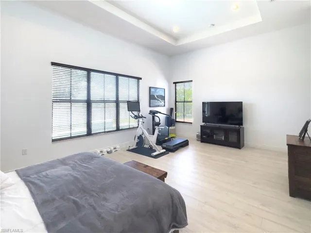 Bedroom with light wood finished floors and a raised ceiling