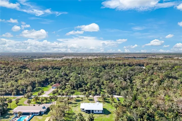 Bird's eye view with a forest view