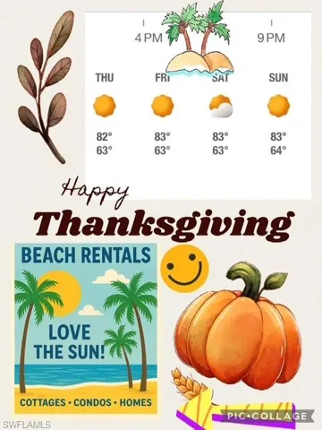 TG Beach Flyer